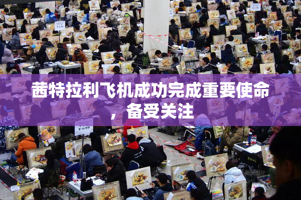 茜特拉利飞机成功完成重要使命，备受关注