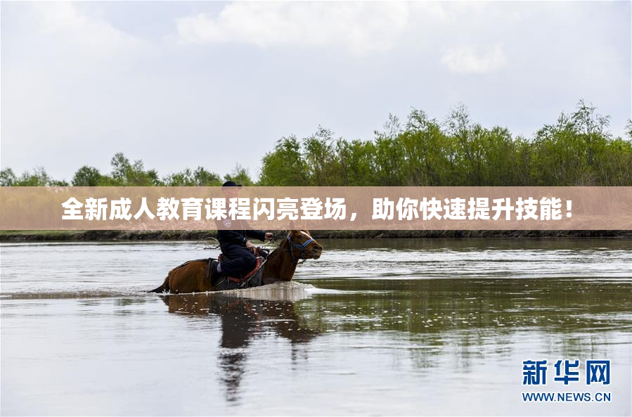全新成人教育课程闪亮登场，助你快速提升技能！