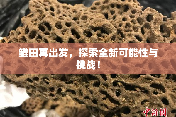 雏田再出发，探索全新可能性与挑战！