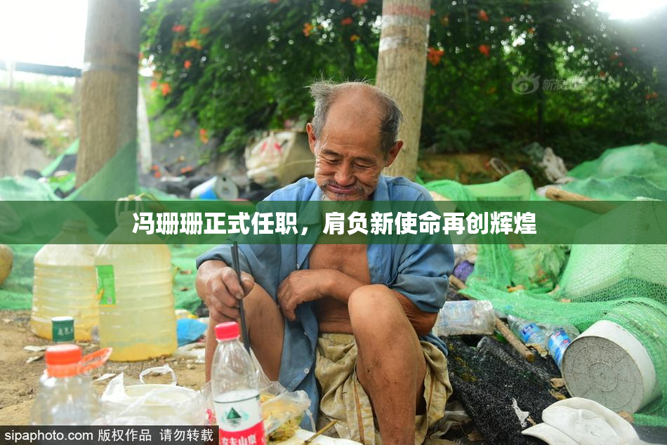 冯珊珊正式任职，肩负新使命再创辉煌
