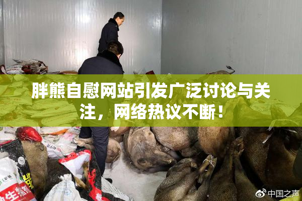胖熊自慰网站引发广泛讨论与关注，网络热议不断！