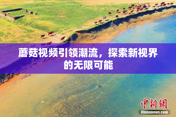 蘑菇视频引领潮流，探索新视界的无限可能