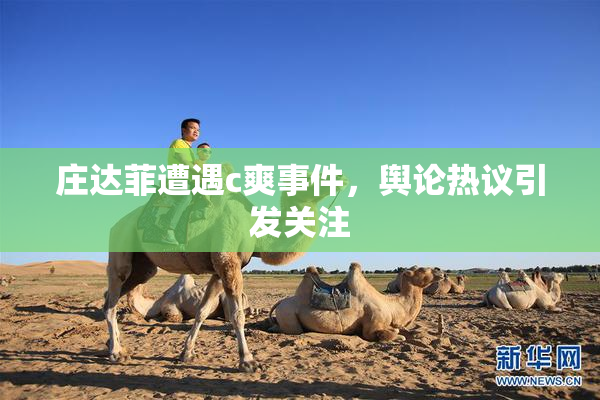庄达菲遭遇c爽事件，舆论热议引发关注