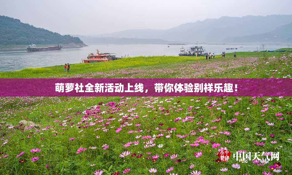 萌萝社全新活动上线，带你体验别样乐趣！