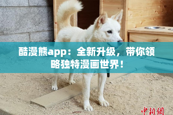 酷漫熊app：全新升级，带你领略独特漫画世界！