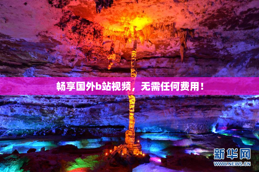 畅享国外b站视频，无需任何费用！