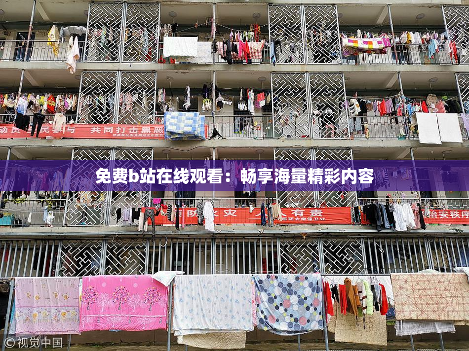 免费b站在线观看：畅享海量精彩内容