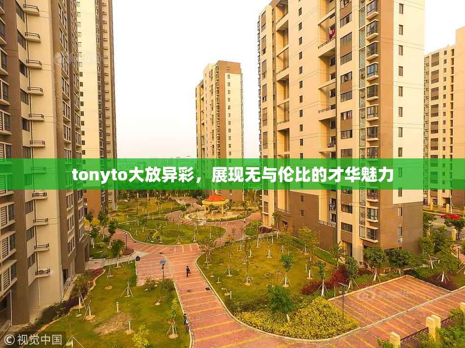 tonyto大放异彩，展现无与伦比的才华魅力