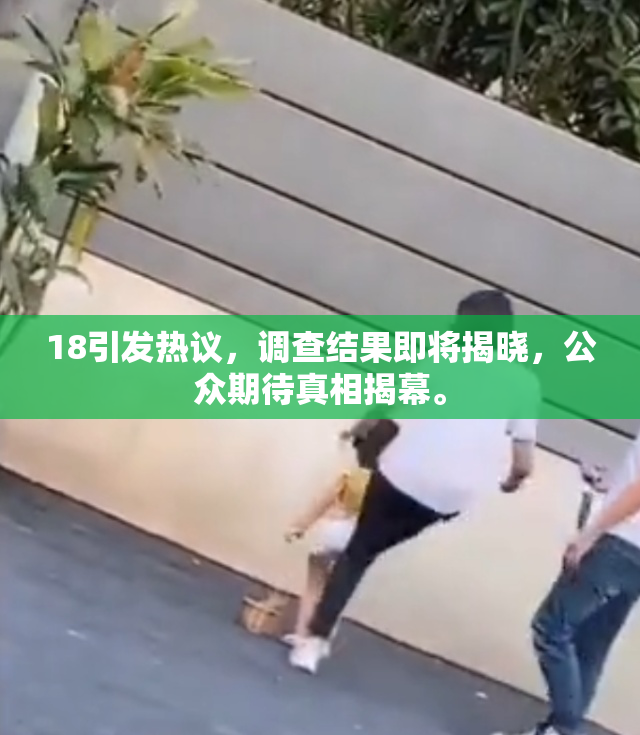 18引发热议，调查结果即将揭晓，公众期待真相揭幕。
