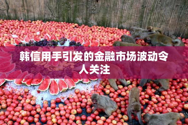 韩信用手引发的金融市场波动令人关注