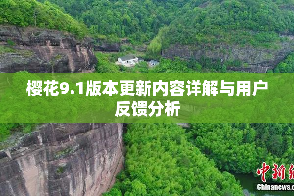 樱花9.1版本更新内容详解与用户反馈分析