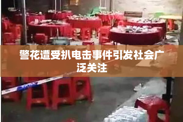警花遭受扒电击事件引发社会广泛关注