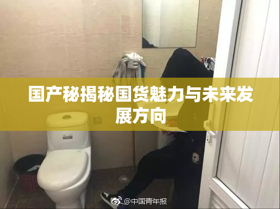 国产秘揭秘国货魅力与未来发展方向