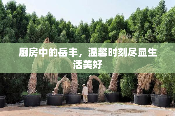 厨房中的岳丰，温馨时刻尽显生活美好