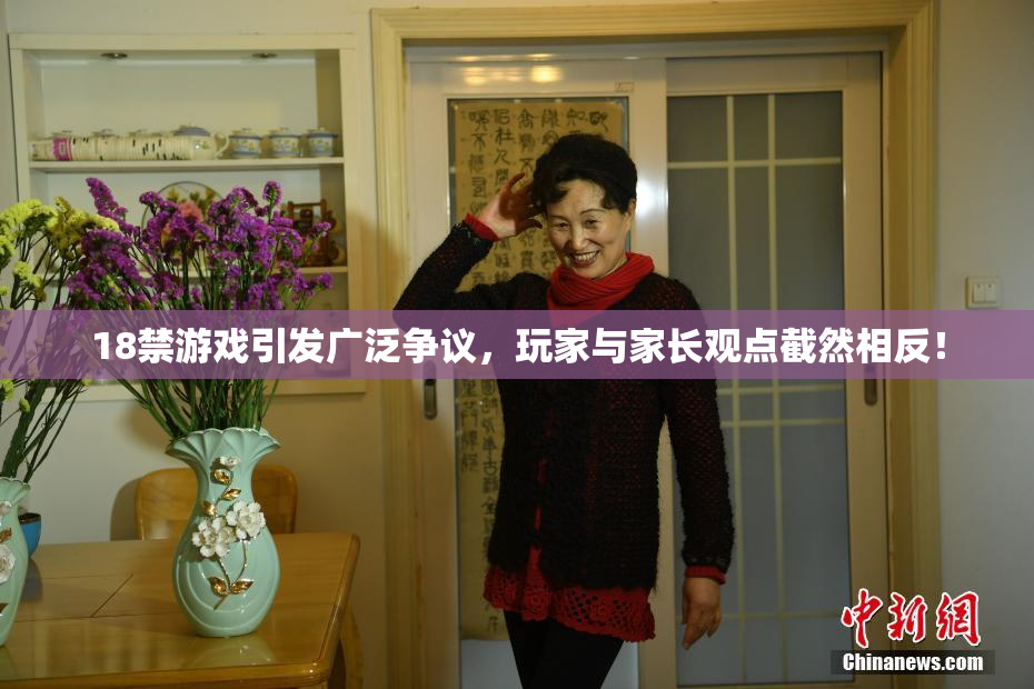 18禁游戏引发广泛争议，玩家与家长观点截然相反！