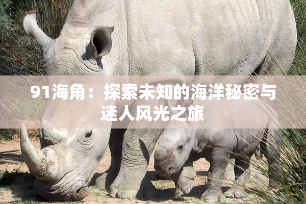 91海角：探索未知的海洋秘密与迷人风光之旅