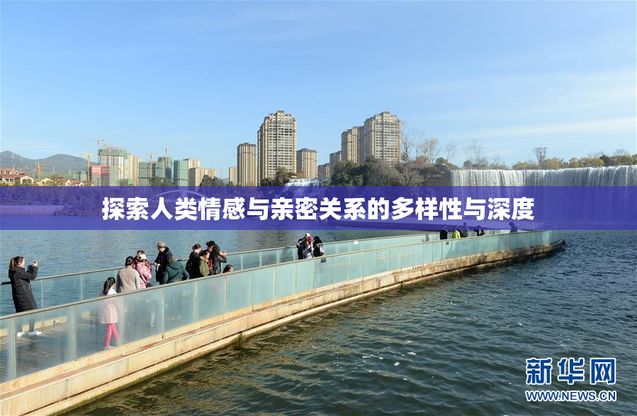 探索人类情感与亲密关系的多样性与深度