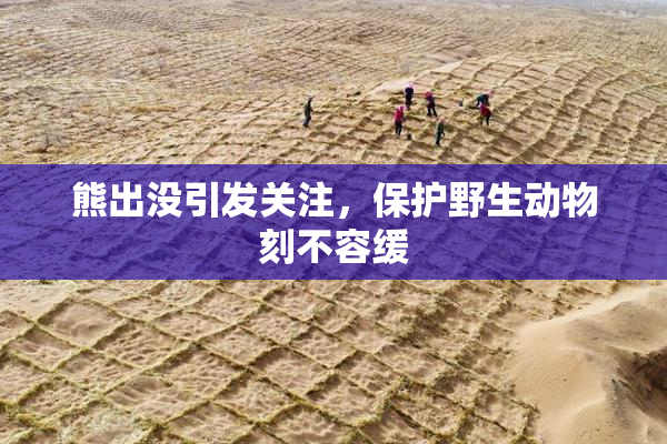 熊出没引发关注，保护野生动物刻不容缓