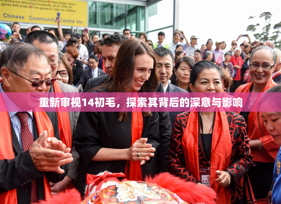 重新审视14初毛，探索其背后的深意与影响