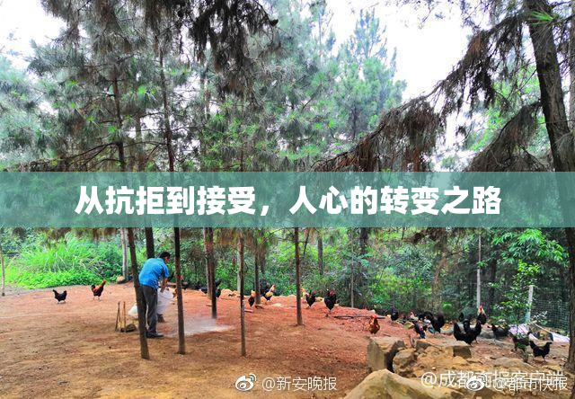 从抗拒到接受，人心的转变之路