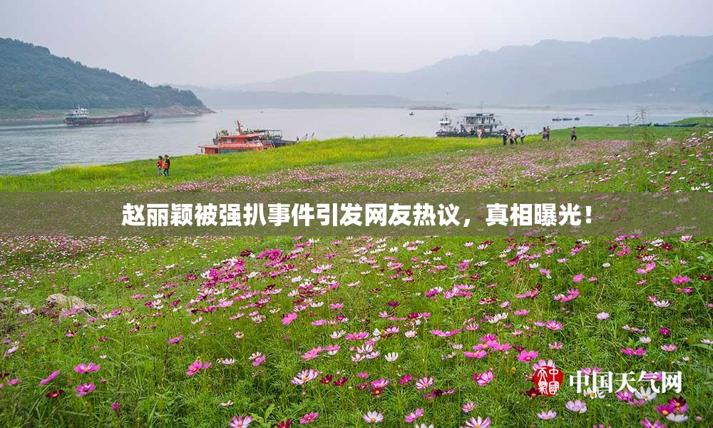 赵丽颖被强扒事件引发网友热议，真相曝光！