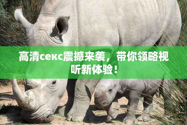高清ceкс震撼来袭，带你领略视听新体验！