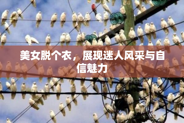 美女脱个衣，展现迷人风采与自信魅力