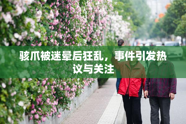 骇爪被迷晕后狂乱，事件引发热议与关注