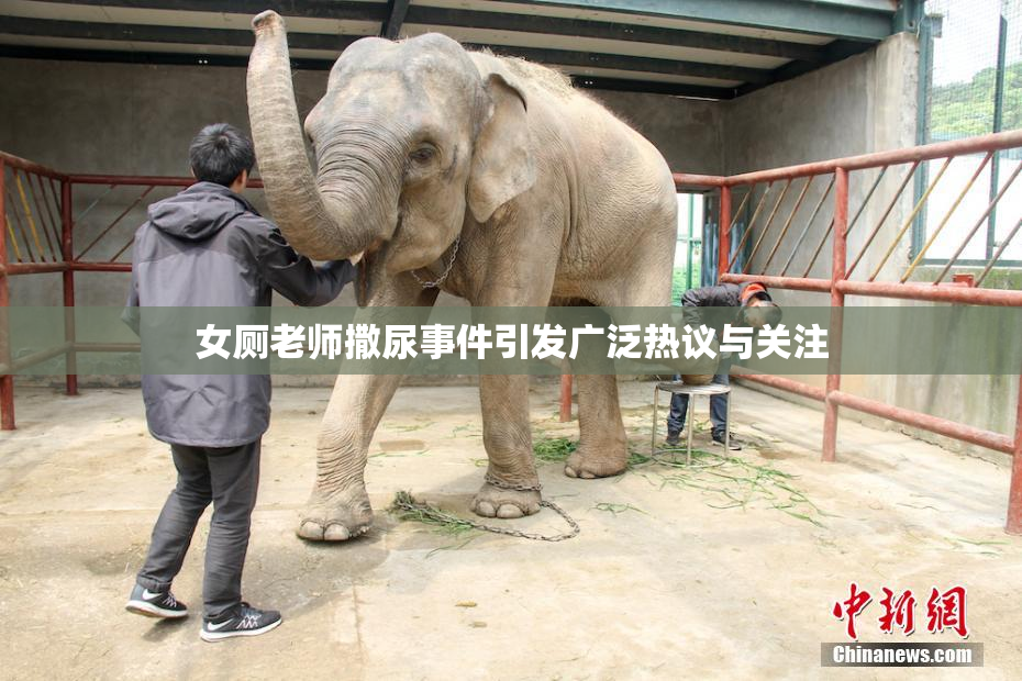女厕老师撒尿事件引发广泛热议与关注