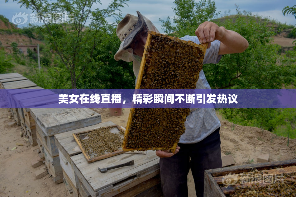 美女在线直播，精彩瞬间不断引发热议