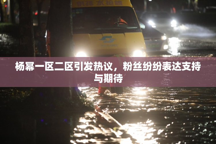 杨幂一区二区引发热议，粉丝纷纷表达支持与期待