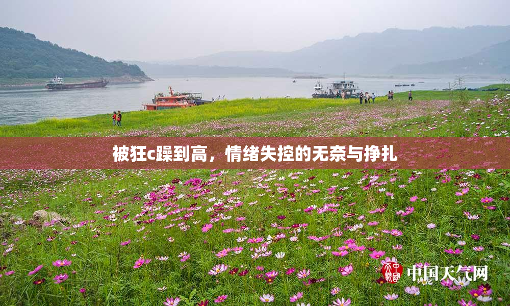 被狂c躁到高，情绪失控的无奈与挣扎