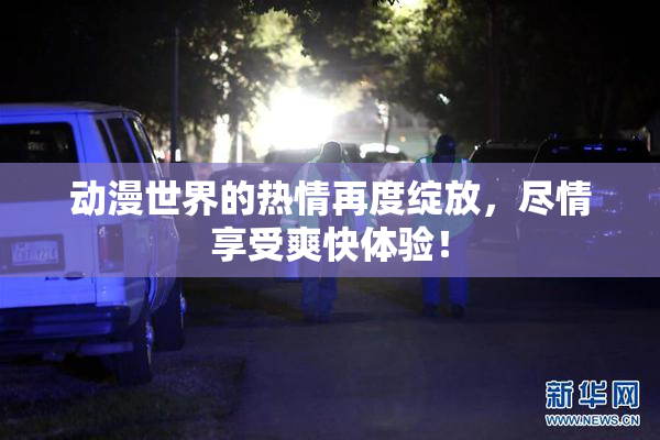动漫世界的热情再度绽放，尽情享受爽快体验！
