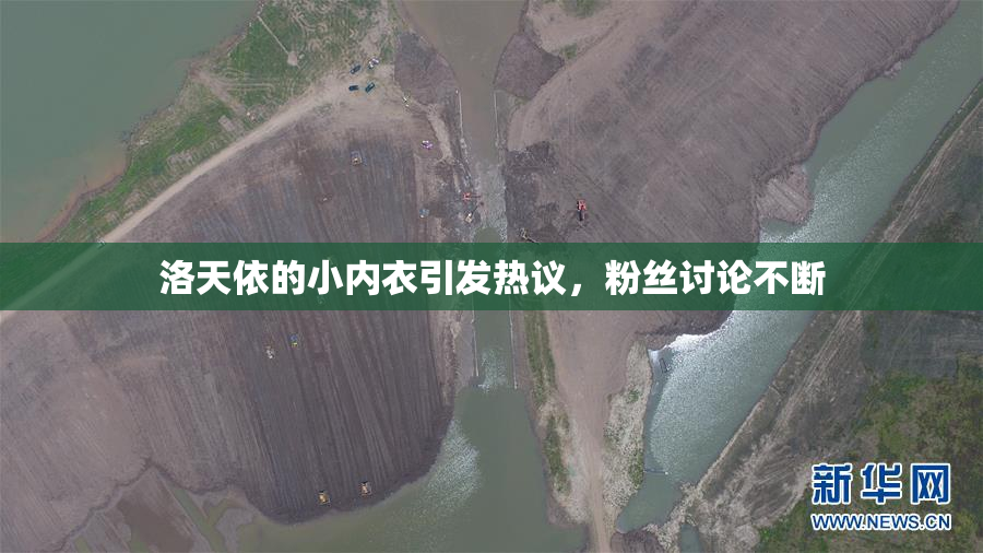 洛天依的小内衣引发热议，粉丝讨论不断