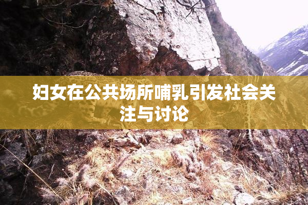 妇女在公共场所哺乳引发社会关注与讨论