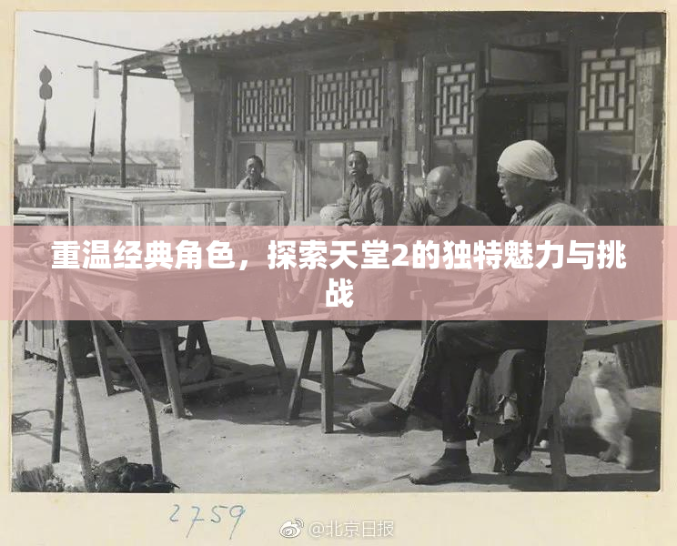 重温经典角色，探索天堂2的独特魅力与挑战