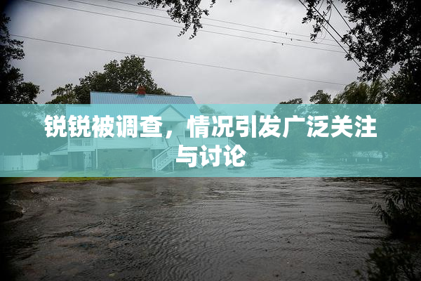 锐锐被调查，情况引发广泛关注与讨论