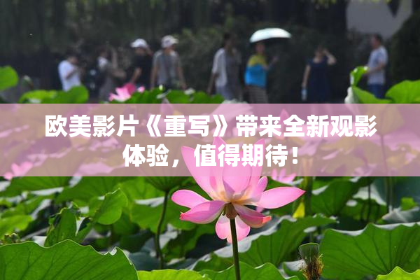 欧美影片《重写》带来全新观影体验，值得期待！