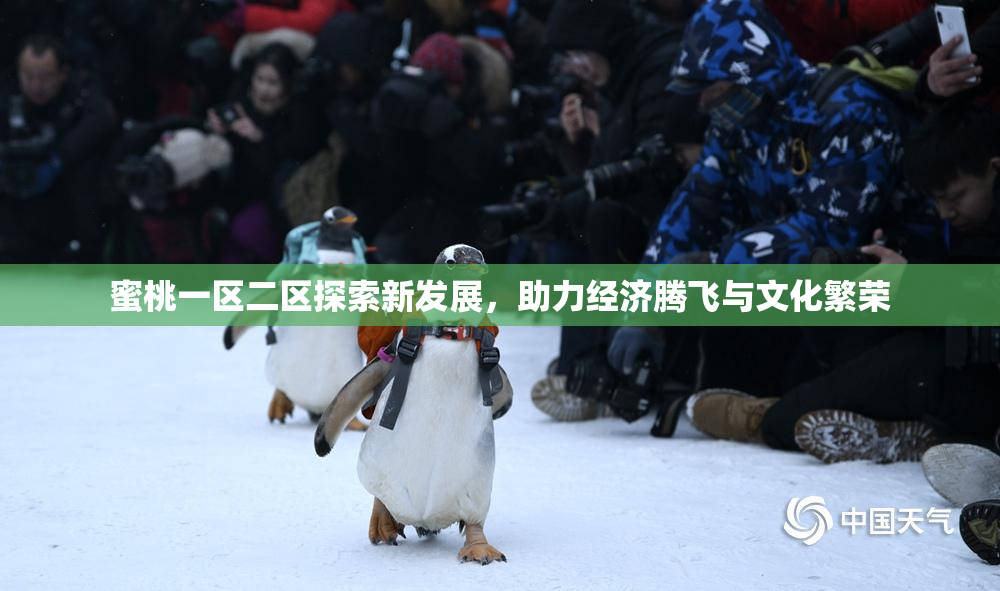 蜜桃一区二区探索新发展，助力经济腾飞与文化繁荣