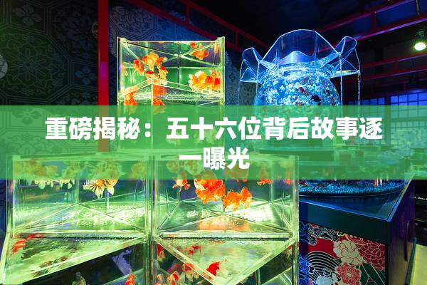 重磅揭秘：五十六位背后故事逐一曝光