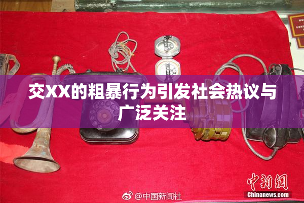 交XX的粗暴行为引发社会热议与广泛关注