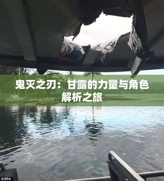 鬼灭之刃：甘露的力量与角色解析之旅