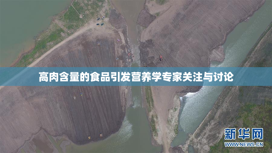 高肉含量的食品引发营养学专家关注与讨论