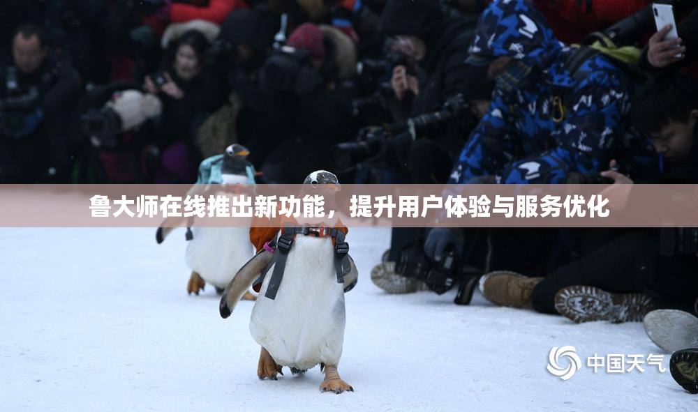 鲁大师在线推出新功能，提升用户体验与服务优化
