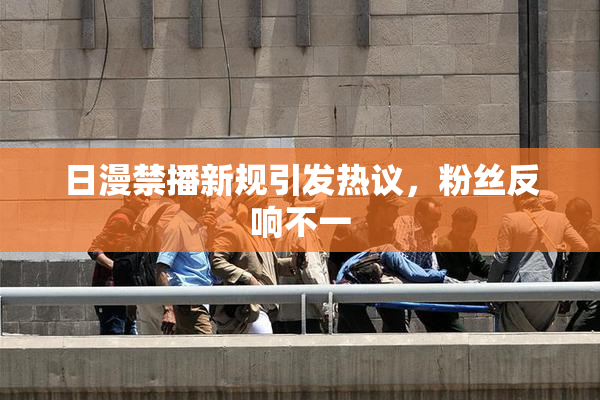日漫禁播新规引发热议，粉丝反响不一