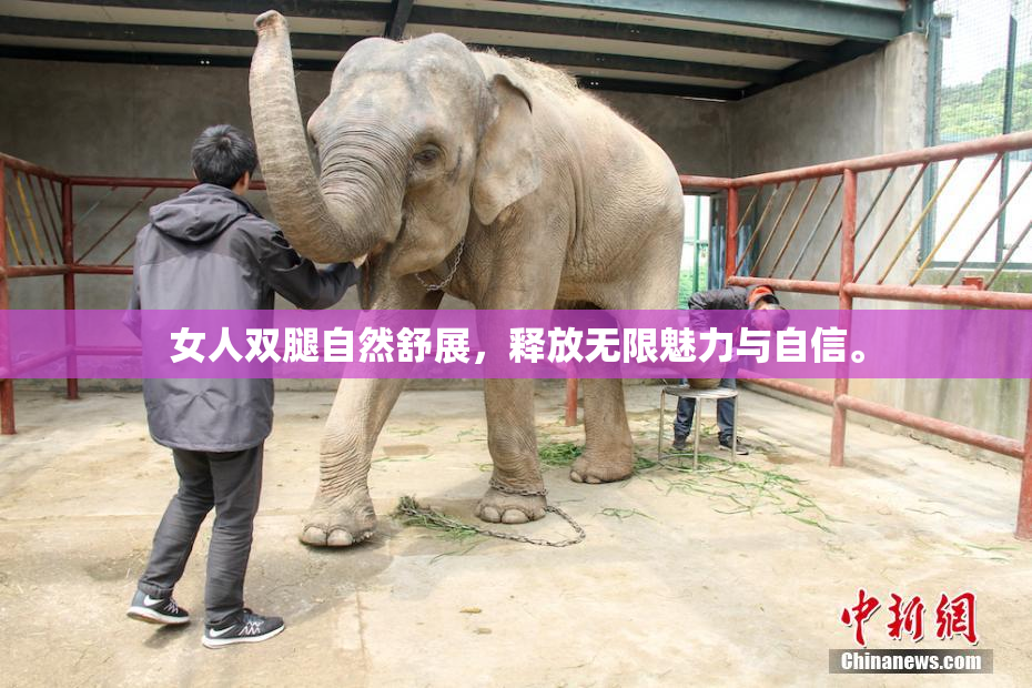 女人双腿自然舒展，释放无限魅力与自信。
