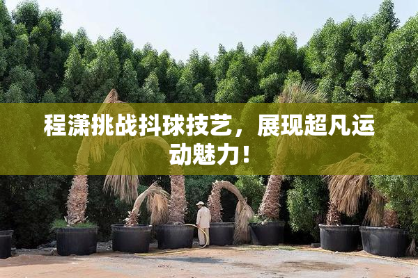 程潇挑战抖球技艺，展现超凡运动魅力！