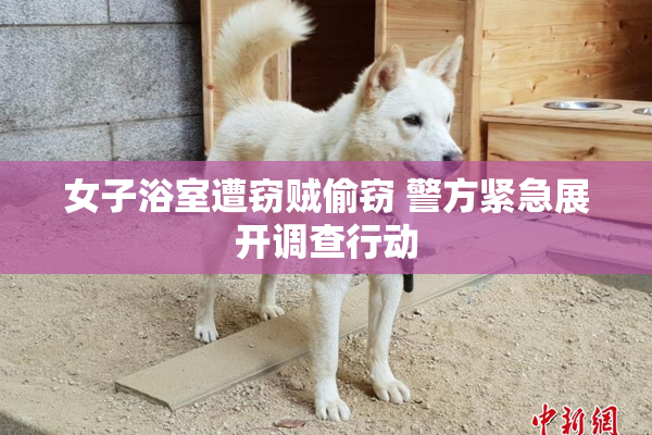 女子浴室遭窃贼偷窃 警方紧急展开调查行动