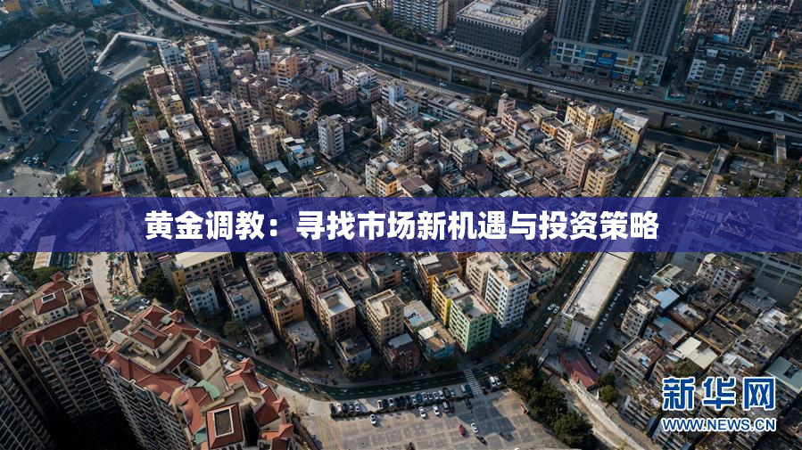 黄金调教：寻找市场新机遇与投资策略