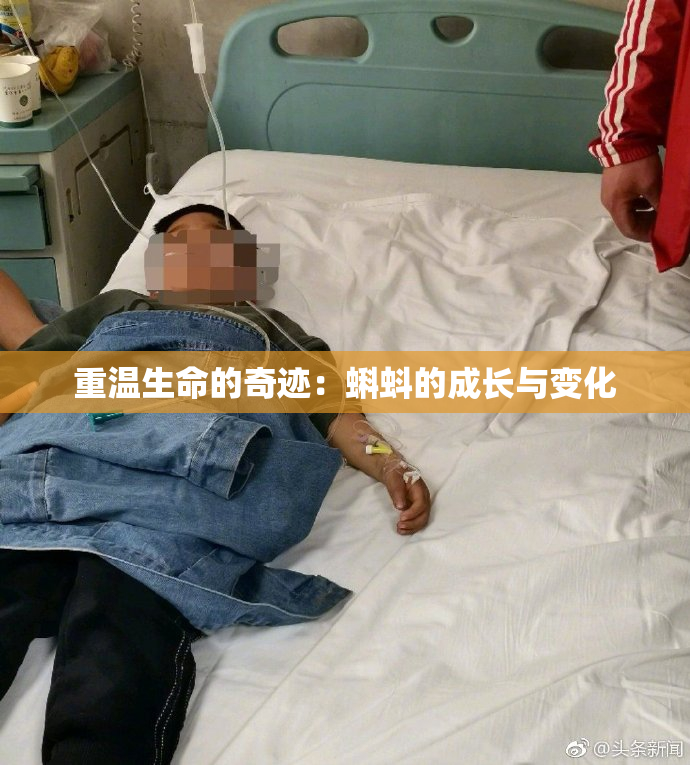 重温生命的奇迹：蝌蚪的成长与变化